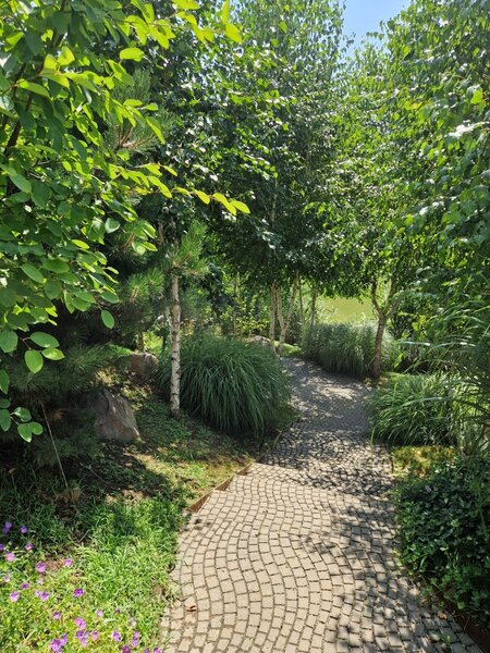 Pipera, Waterfront, lux, predare imediata, loc de parcare, nou.